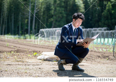 Field and businessman 116554749