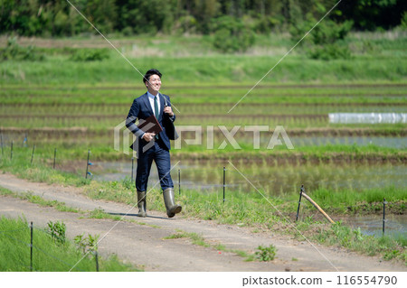 稻田和商人 116554790