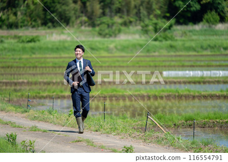 稻田和商人 116554791