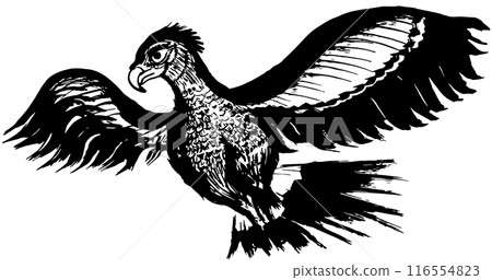 Eagle, hand-drawn illustration Eagle, hand-drawn illustration 116554823