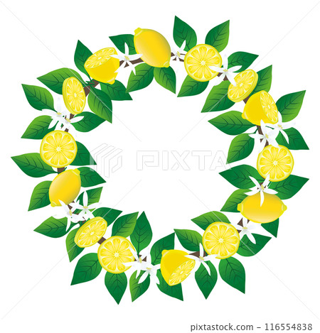 檸檬環裝飾框 檸檬環裝飾框 116554838