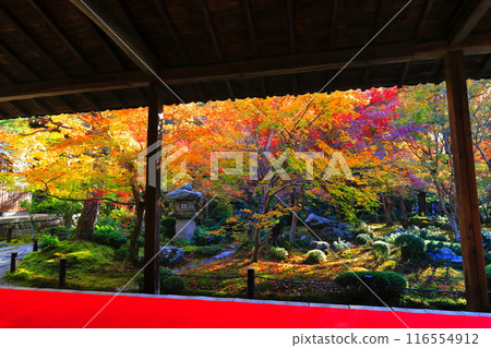 [Kyoto Prefecture] Autumn leaves in the frame garden of Enkoji Temple (Jugyu no Niwa) 116554912