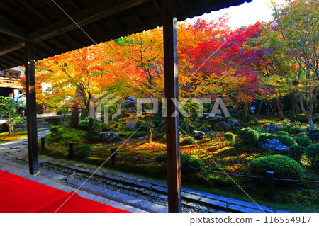 [Kyoto Prefecture] Autumn leaves in the frame garden of Enkoji Temple (Jugyu no Niwa) 116554917