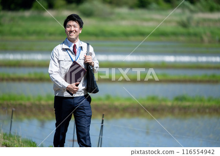 Businessman walking along a rice field road 116554942
