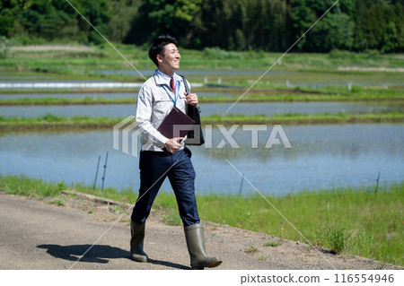 Businessman walking along a rice field road 116554946