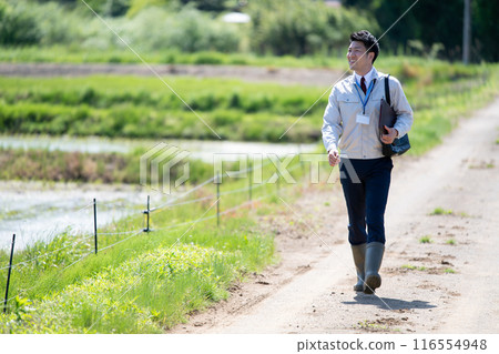 Businessman walking along a rice field road Businessman walking along a rice field road 116554948