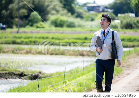 Businessman walking along a rice field road Businessman walking along a rice field road 116554950