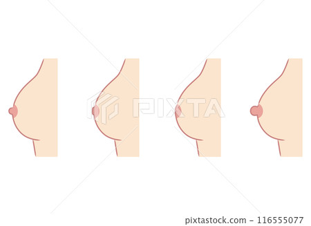 Nipple shape, nipple type, variety Nipple shape, nipple type, variety 116555077