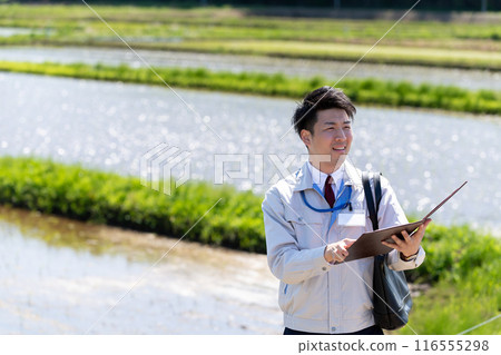 Rice field and staff 116555298
