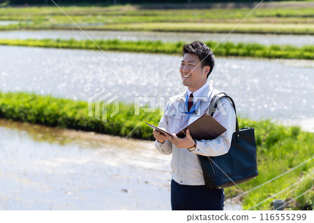 Rice field and staff Rice field and staff 116555299