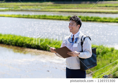 Rice field and staff Rice field and staff 116555300