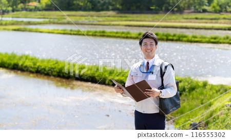 Rice field and staff 116555302