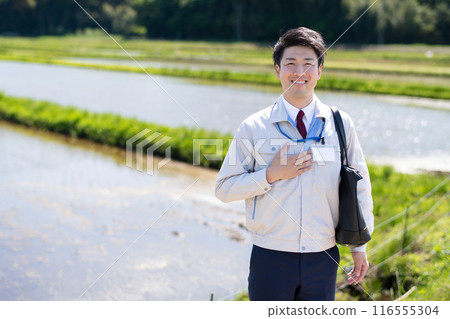 Rice field and staff 116555304