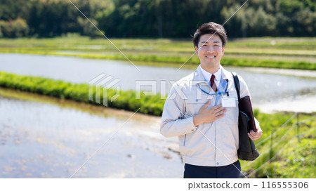 Rice field and staff Rice field and staff 116555306