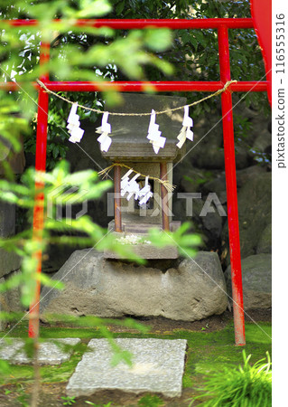 Maebashi City: Soja Shrine, the guardian deity of Kozuke Province 116555316