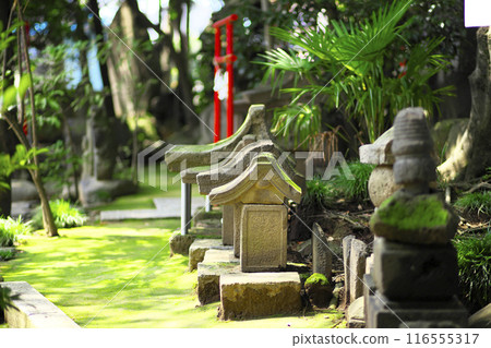 Maebashi City: Soja Shrine, the guardian deity of Kozuke Province 116555317