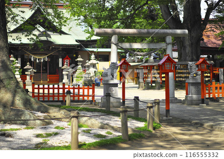 前橋市:上野國總社 前橋市:上野國總社 116555332