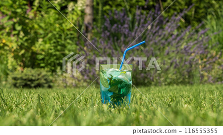 A cool drink with mint and ice in a glass with a blue straw on a lawn. A cool drink with mint and ice in a glass with a blue straw on a lawn. 116555355