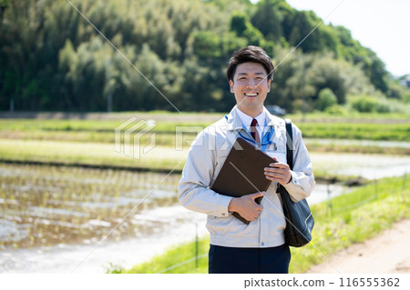 Fields and staff 116555362