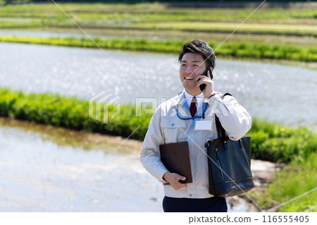 Rice field and staff 116555405