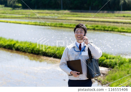 Rice field and staff Rice field and staff 116555406