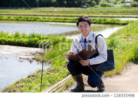 Rice field and staff 116555496