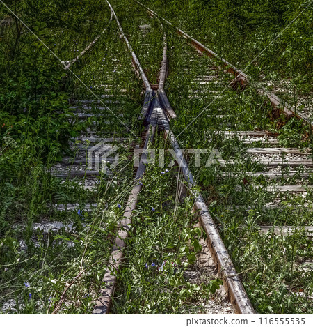 Branch of railway tracks 116555535