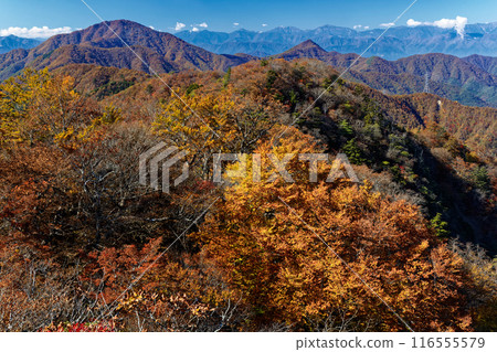 從本社伽丸眺望禦坂山脈和南阿爾卑斯山的紅葉 116555579