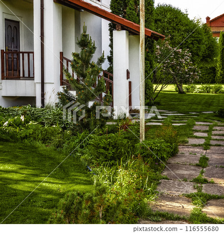 Backyard design elements Backyard design elements 116555680