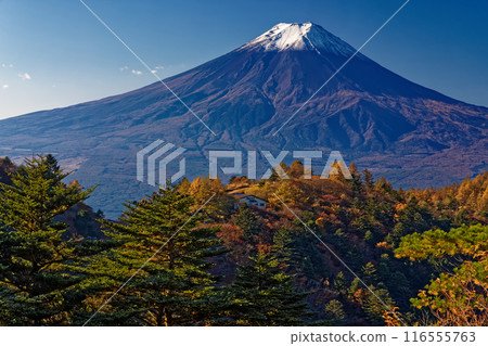 從光峠/大高山看到的山間小屋和富士山 從光峠/大高山看到的山間小屋和富士山 116555763