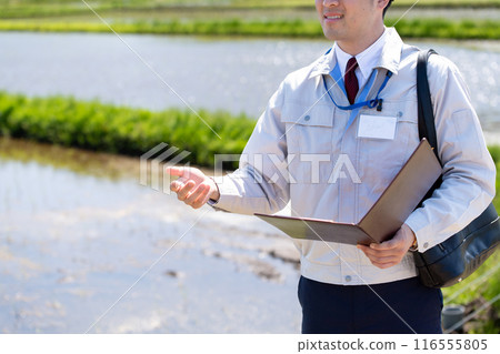 Rice field and staff Rice field and staff 116555805