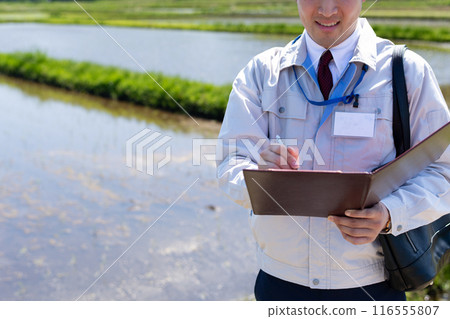 Rice field and staff Rice field and staff 116555807