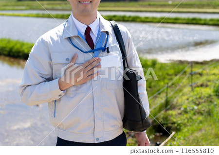 Rice field and staff 116555810