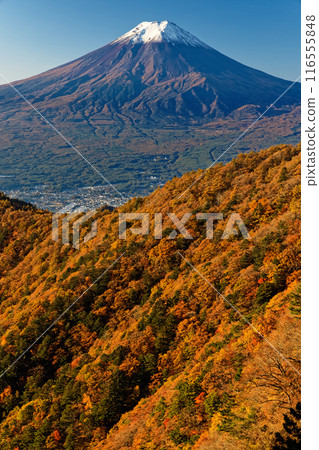 從光峠眺望白雪皚皚的富士山，秋天的紅葉 116555848