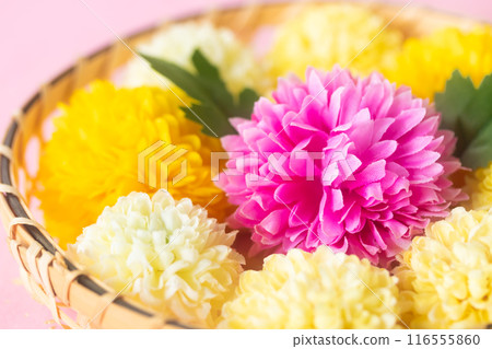Chrysanthemum and Double Ninth Festival September 9th 116555860