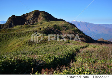 從甘石山登山道欣賞甘石山和北阿爾卑斯山 116555866