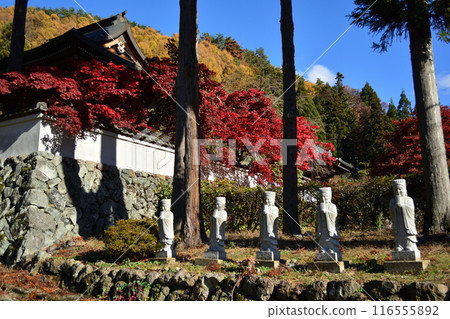 Autumn leaves at Kiyomizu-dera Temple in Nagano City Autumn leaves at Kiyomizu-dera Temple in Nagano City 116555892