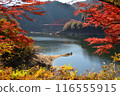 Autumn leaves at Lake Okuyahagi 116555915