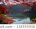 Autumn leaves at Lake Okuyahagi 116555916