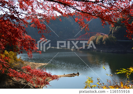 Autumn leaves at Lake Okuyahagi Autumn leaves at Lake Okuyahagi 116555916