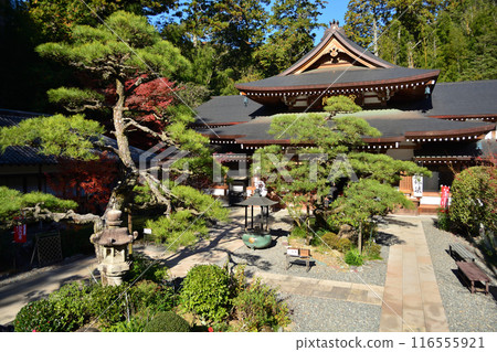 Yuzanji寺廟秋葉 116555921