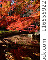 Autumn leaves of Yuzanji Temple 116555922