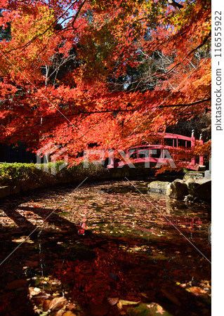 Autumn leaves of Yuzanji Temple Autumn leaves of Yuzanji Temple 116555922