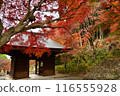 Autumn leaves of Fumonji Temple 116555928