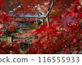 Autumn leaves of Fumonji Temple 116555933