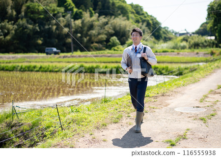 Rice field and staff 116555938