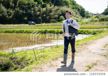 Rice field and staff Rice field and staff 116555939