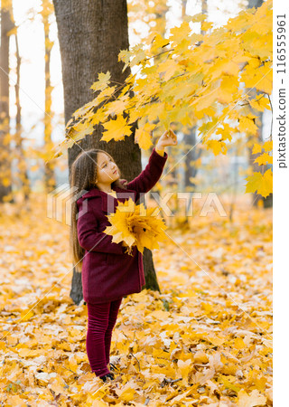 Cute girl in autumn clothes in a park with yellow leaves plucks a leaf from a tree 116555961