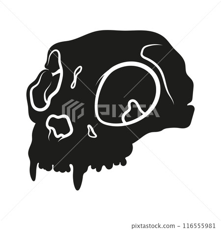 Cat skull. Tool for ritual. Gothic black white illustration of occult witchcraft Cat skull. Tool for ritual. Gothic black white illustration of occult witchcraft 116555981