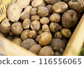 Potatoes 116556065